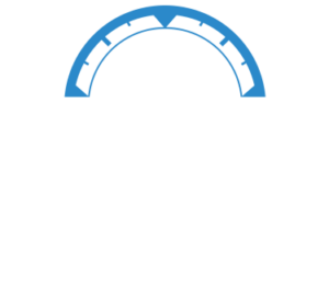 pliniumltd white logo